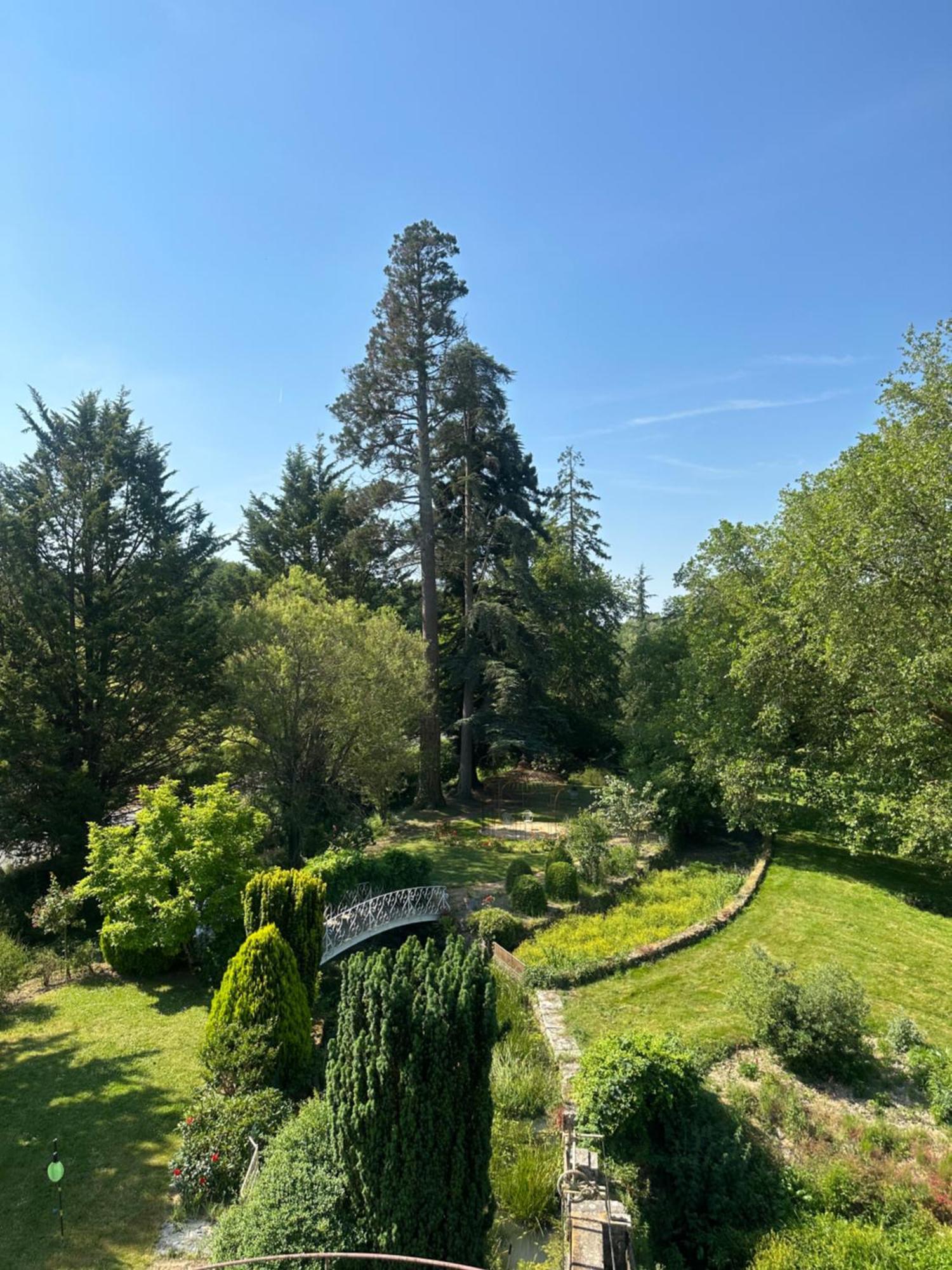 Le Moulin De Francueil Bed and Breakfast Εξωτερικό φωτογραφία