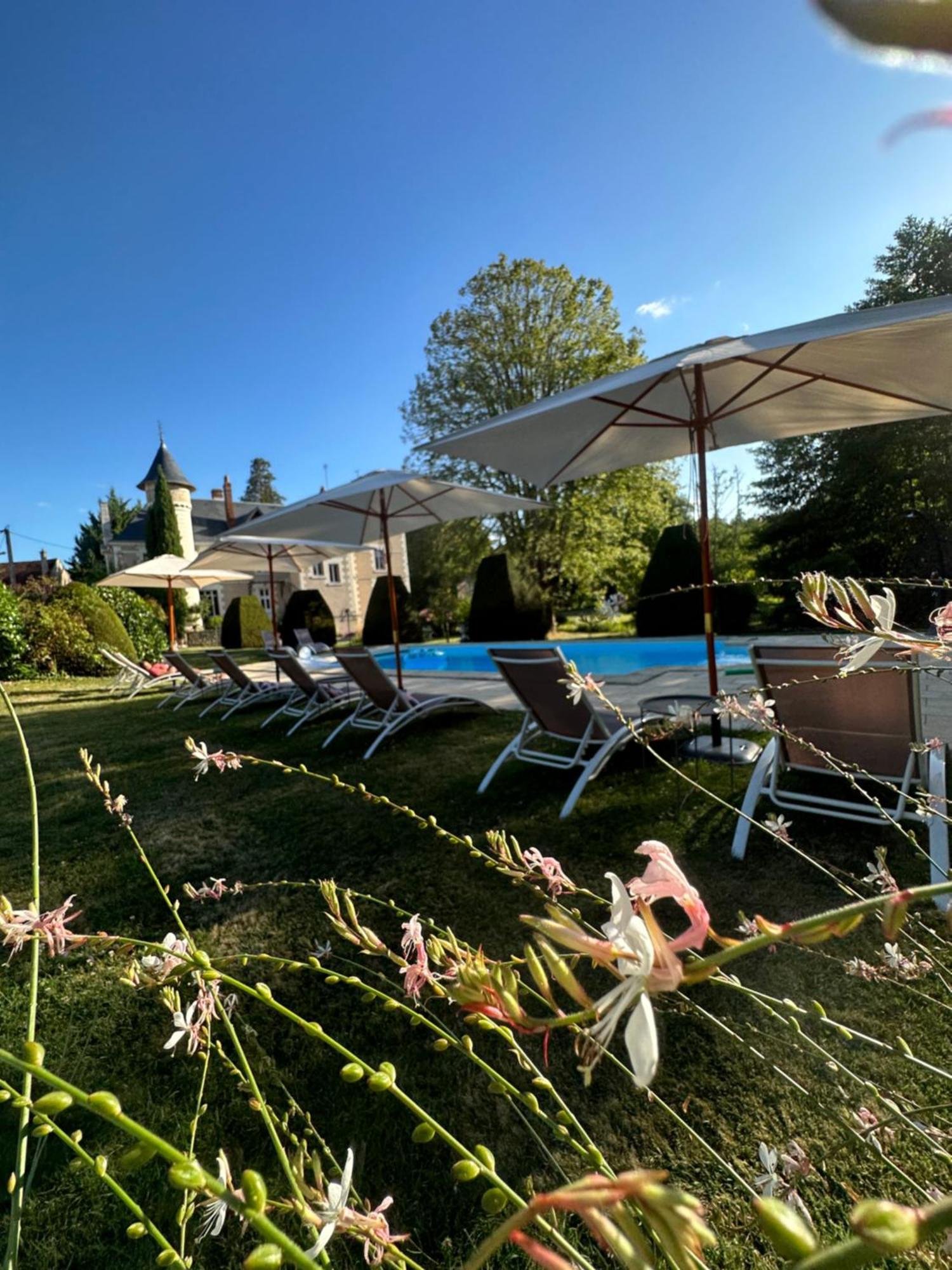 Le Moulin De Francueil Bed and Breakfast Εξωτερικό φωτογραφία